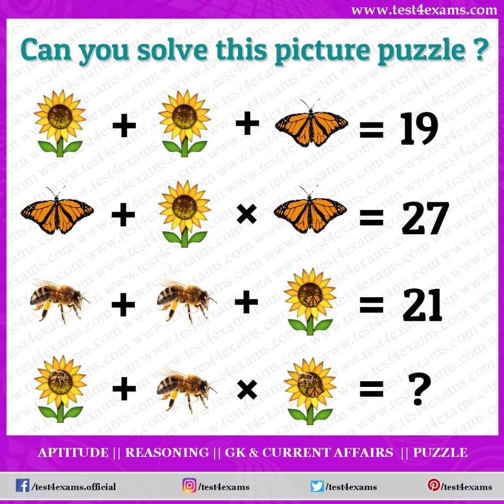 Flower Picture Puzzles Equation For Adults and Kids