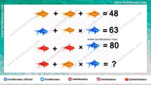 Fish picture math equation puzzle