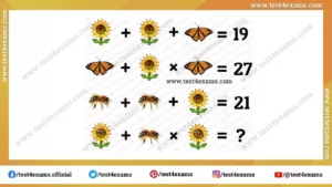Flower Picture Puzzles Equation For Adults and Kids