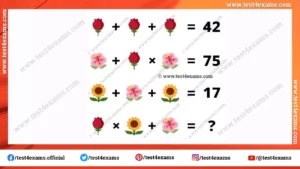 Flower picture math equation with answer
