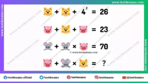Cat, rat picture puzzles of math logic with answer