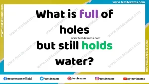 What is full of holes but still holds water?