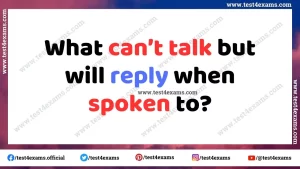 What can’t talk but will reply when spoken to?