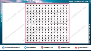 Find 10 fruits name from word puzzle