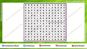 Find 20 country name from word puzzle