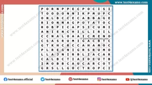 Can you find the 15 vegetables name?