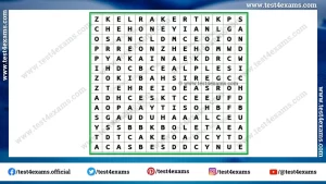 Find 18 foods name from word puzzle
