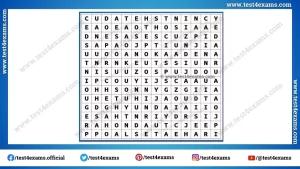 Find 10 car brand name from word puzzle