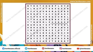 Find 18 animals name from word puzzle