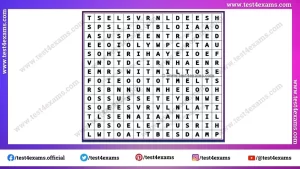 Can you find the 16 spring word?